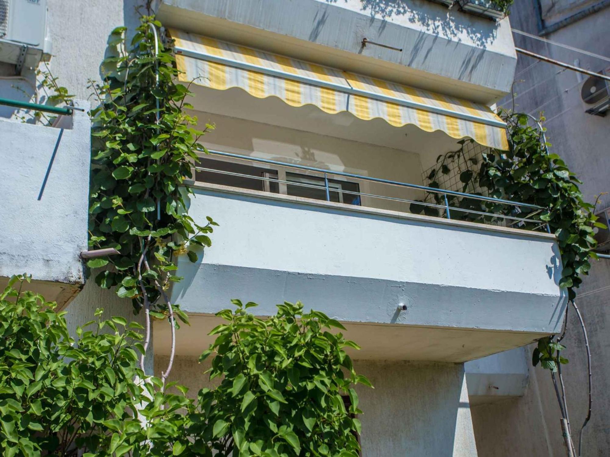 Apartment In - Istrien 52017 *